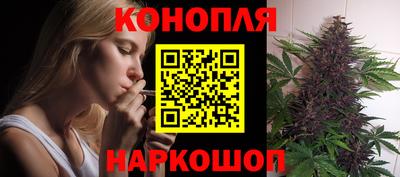 Альфа ПВП Гусев