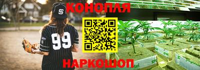 Альфа ПВП Гусев