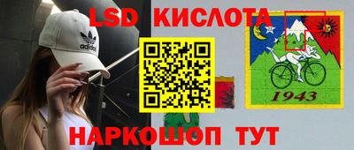 Альфа ПВП Гусев