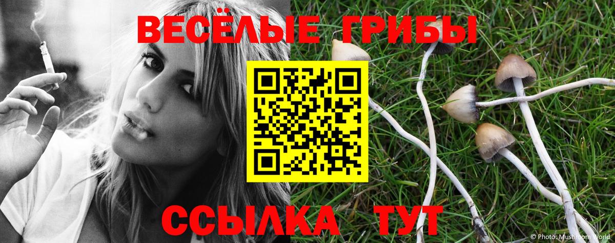 купить   Вход с VPN  Туапсе  Галлюциногенные грибы Psilocybine cubensis  Галлюциногенные грибы Cubensis 