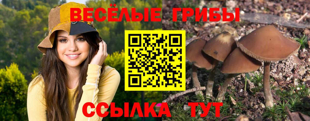 Псилоцибиновые грибы ЛСД Туапсе